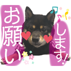 [LINEスタンプ] 福助スタンプ part2