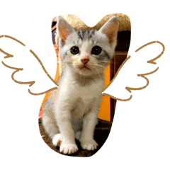 [LINEスタンプ] うぇーんと鳴くなみちゃんです。