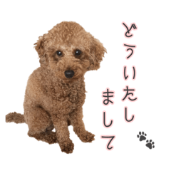 [LINEスタンプ] ライトスタンプ②