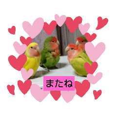 [LINEスタンプ] kawafamily25