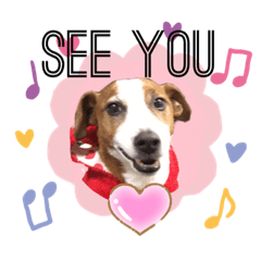 [LINEスタンプ] シナモン ジャックラセルテリア
