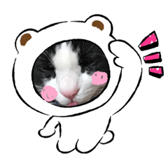 [LINEスタンプ] ハチワレめいちゃん2