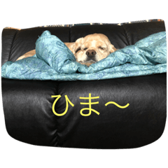 [LINEスタンプ] 竜吉
