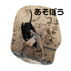 [LINEスタンプ] なかよくして