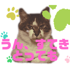 [LINEスタンプ] いいちゃんのスタンプ