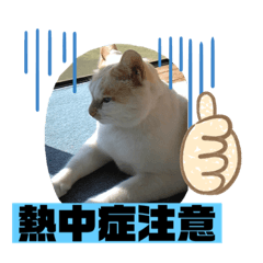 [LINEスタンプ] ミータ郎ファミリー夏バテに注意