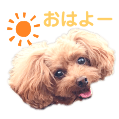 [LINEスタンプ] 未来 スタンプ
