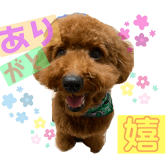 [LINEスタンプ] チョコタの日常2