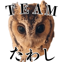[LINEスタンプ] チームたわし