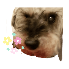 [LINEスタンプ] kappiとo-chan#4