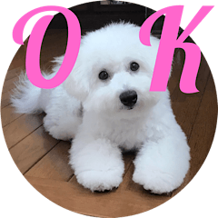 [LINEスタンプ] ここちゃんのスタンプ