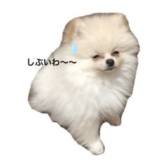 [LINEスタンプ] 天使くん໒꒱·
