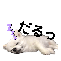 [LINEスタンプ] ソラちゃーん！