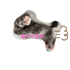 [LINEスタンプ] ひめぷー3