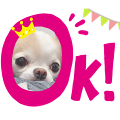 [LINEスタンプ] わんこちゃんたち♥
