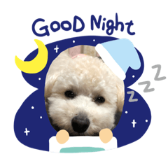 [LINEスタンプ] まるへいくんスタンプ