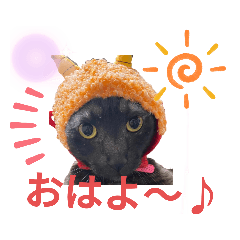 [LINEスタンプ] 黒猫ちゃんのファミリィ挨拶