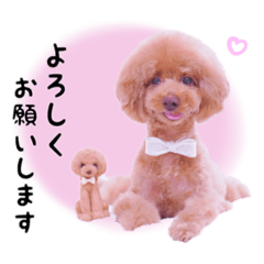 [LINEスタンプ] デカプーモモちゃん