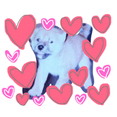 [LINEスタンプ] 六ノ助