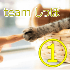 [LINEスタンプ] teamしっぽ①