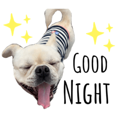 [LINEスタンプ] テンちゃんすたんぷ。