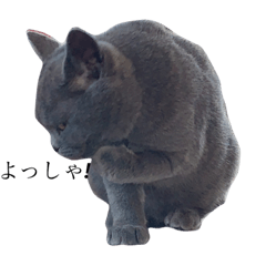 [LINEスタンプ] びび②
