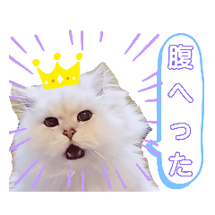 [LINEスタンプ] 我が家のボス猫