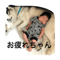 [LINEスタンプ] 紗玖スタンプ