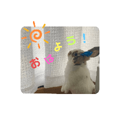 [LINEスタンプ] みみぃ生活