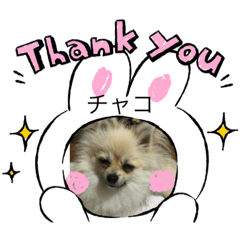 [LINEスタンプ] ポメ、プー①