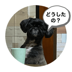[LINEスタンプ] 634stamps