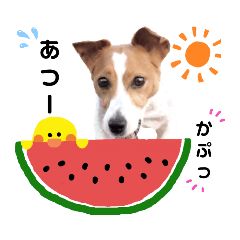 [LINEスタンプ] ジャックのロッタちゃん☆4