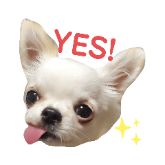 [LINEスタンプ] 今日のぺこみ(2)