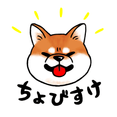 [LINEスタンプ] 柴犬ちょびすけ