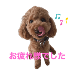 [LINEスタンプ] おてんばずーちゃん