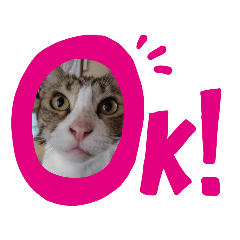 [LINEスタンプ] めぃちゃん にぃ