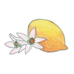 ちょっとまじめ