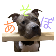 [LINEスタンプ] loa’s stamp