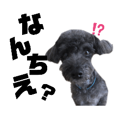 [LINEスタンプ] えりぎん2