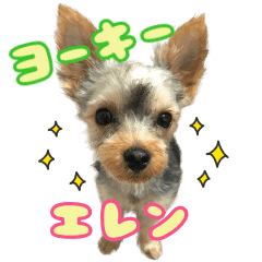 [LINEスタンプ] ヨーキー エレンスタンプ