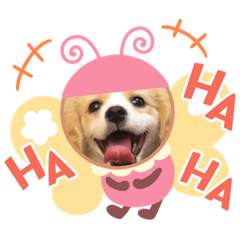 [LINEスタンプ] Shin's Studio
