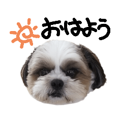 [LINEスタンプ] ラブリーアラン