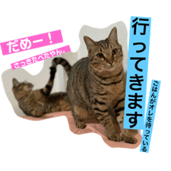 [LINEスタンプ] アオとモモ2