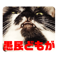 [LINEスタンプ] ニケ＆ハロスタンプ