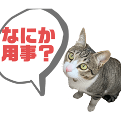 [LINEスタンプ] おこめちゃんパート2