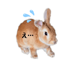 [LINEスタンプ] いい子なナッツ2