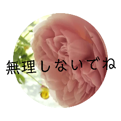 [LINEスタンプ] すうすうすたんぷす