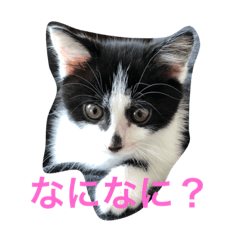 [LINEスタンプ] ミルさんスタンプ3