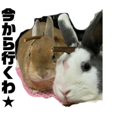 [LINEスタンプ] 船乗りうさお