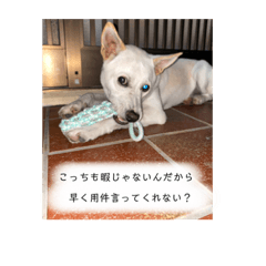 [LINEスタンプ] ちょっと毒舌